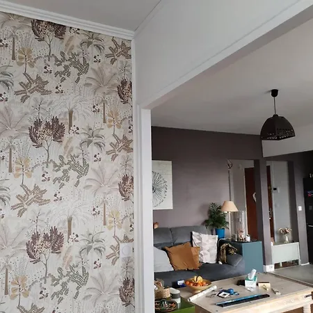 D'une Avec Balcon Amenage Et Wifi A Appartement